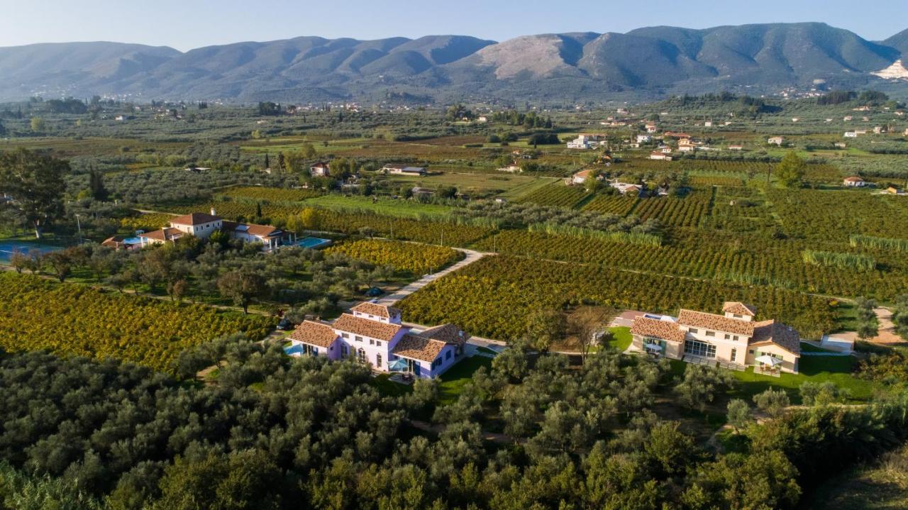 Aneli Luxury Villas - Villa Semeli Áyios Kírikos 외부 사진
